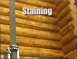  Suffolk, Virginia Log Home Staining